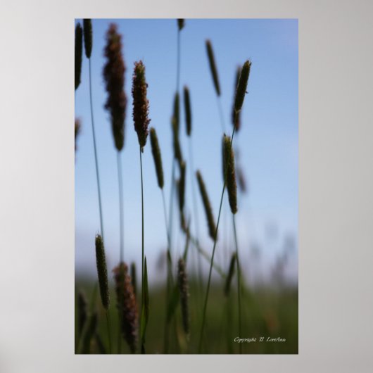 Innerhalb der Hay Poster (Vorne)