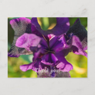 Innerhalb einer Iris Dankeschön-Postkarte Postkarte