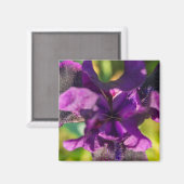Innerhalb einer Iris Magnet (Vorderseite/Rückseite)