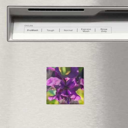 Innerhalb einer Iris Magnet (In Situ (Geschirrspüler))