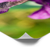 Innerhalb einer Iris Poster (Ecke)