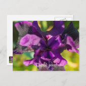 Innerhalb einer Iris Vielen Dank Postcard Postkarte (Vorne/Hinten)