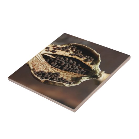 Innerhalb einer Mohnblumen-Blumen-Hülse Fliese (Seite)