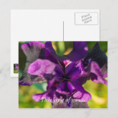 Innerhalb eines Iris denken Sie an Ihre Postkarte (Vorne/Hinten)
