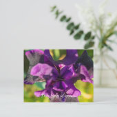 Innerhalb eines Iris denken Sie an Ihre Postkarte (Stehend Vorderseite)