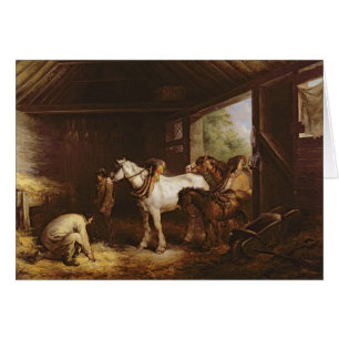 Innerhalb eines Stalles