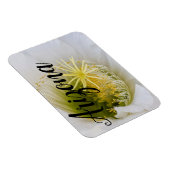 Innerhalb eines weißen Kaktusblütens, Arizona Magnet (Rechte Seite)