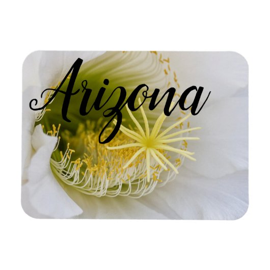 Innerhalb eines weißen Kaktusblütens, Arizona Magnet (Horizontal)