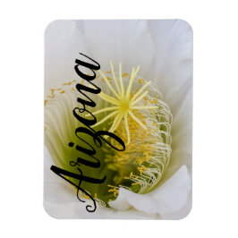 Innerhalb eines weißen Kaktusblütens, Arizona Magnet