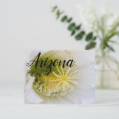 Innerhalb eines weißen Kaktusblütens, Arizona Postkarte (Stehend Vorderseite)