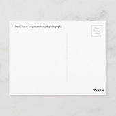 Innerhalb eines weißen Kaktusblütens, Arizona Postkarte (Rückseite)