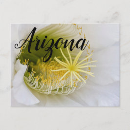 Innerhalb eines weißen Kaktusblütens, Arizona Postkarte