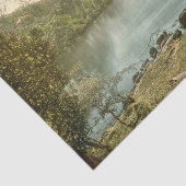 Innisfallen, Killarney, Landkreis Kerry, Irland Seidenpapier (Ausschnitt)