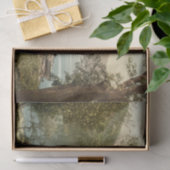 Innisfallen, Killarney, Landkreis Kerry, Irland Seidenpapier (Geschenk)