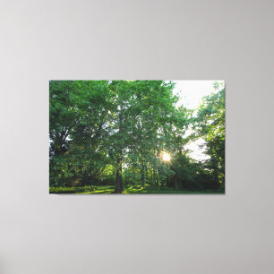 Inniswood Gardens Metropark, Westerville, Ohio Leinwanddruck