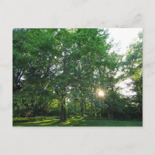Inniswood Gardens Metropark, Westerville, Ohio Postkarte