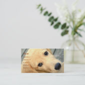 Innocent Abby Business Card Visitenkarte (Stehend Vorderseite)