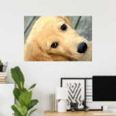 Innocent Abby Poster (Heimbüro)