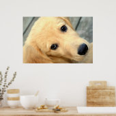 Innocent Abby Poster (Küche)