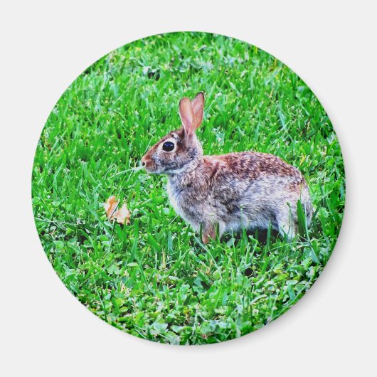 Innocent Eyes Magnet (Vorne)