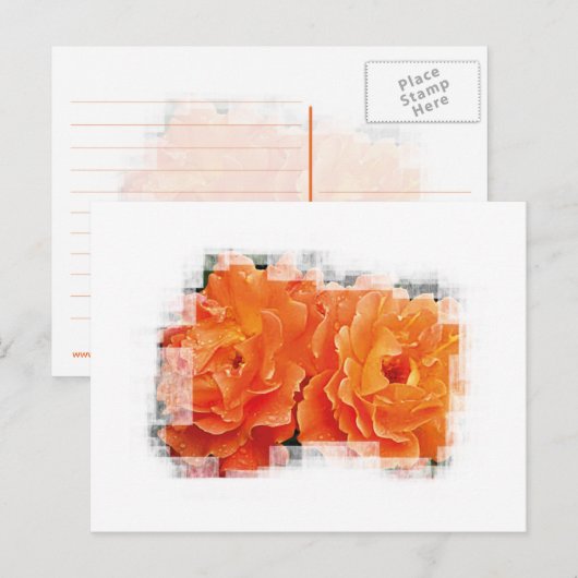 Innocent Orange Postkarte (Vorne/Hinten)