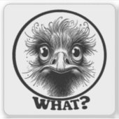 "Innocent Ostrich What" Vinyl Aufkleber (Vorderseite)