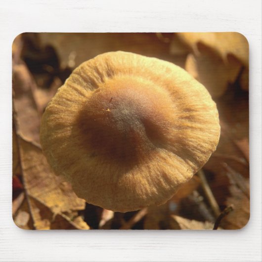 Inocybe napipes Mushroom Mouse Mat Mousepad (Vorne)