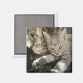 Inoki Kitten Magnet (Vorderseite/Rückseite)