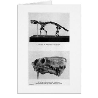 Inostrancevia alexandri Kunst-Karte