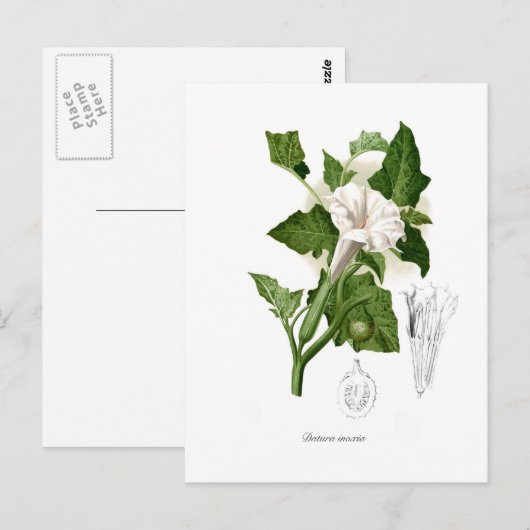 Inoxia Postkarte (Vorne/Hinten)