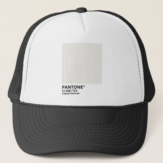 Inpiration pantone 2026 truckerkappe (Vorderseite)