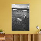 Inquisitive Dartmoor Schaf - Ist das Ewe? Leinwanddruck (Insitu (Wohnzimmer))