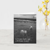 Inquisitive Geburtstagskarte Karte (Gelbe Blume)