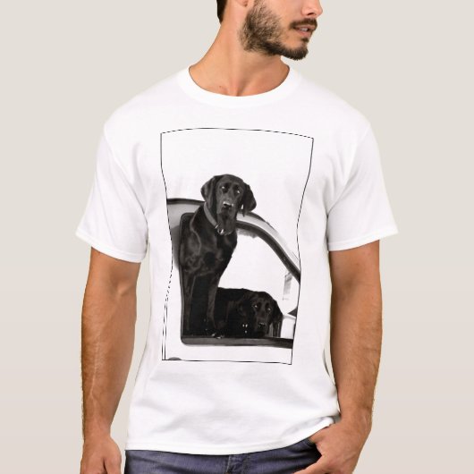 Inquisitive Schwarze Labradore Männer T - Shirt (Vorderseite)
