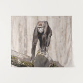 Inquisitive Young Gorilla Wandteppich (Vorderseite (Horizontal))