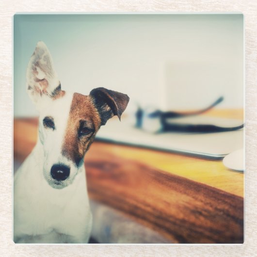 Inquisitiver Hund - Untersetzer aus Glas (Vorderseite)