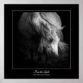 ins Licht - Dartmoor Pony Poster (Vorne)