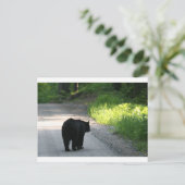 ins Licht gehen Postkarte (Stehend Vorderseite)