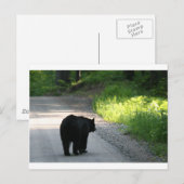 ins Licht gehen Postkarte (Vorne/Hinten)