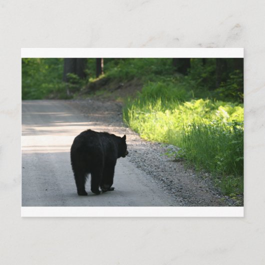 ins Licht gehen Postkarte (Vorderseite)