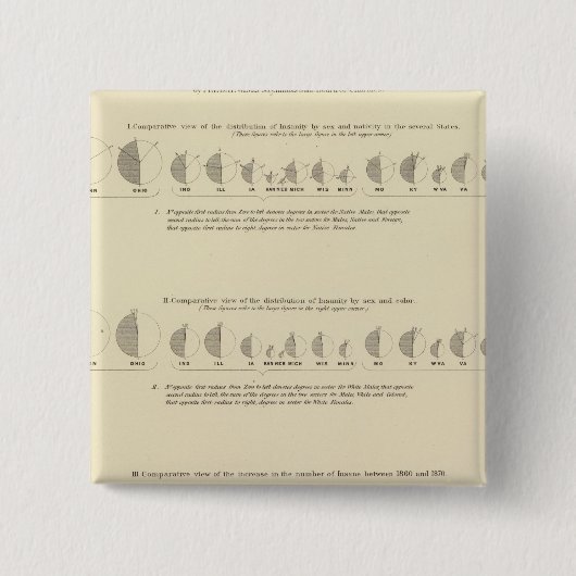Insane, Statistischer US-Lithograph 1870 Button (Vorderseite)