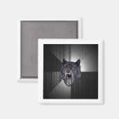 Insanity Wolf Ratschläge Tiermeme Magnet (Vorderseite/Rückseite)