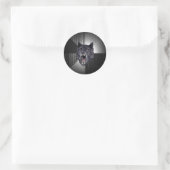 Insanity Wolf Stickers (Tasche)