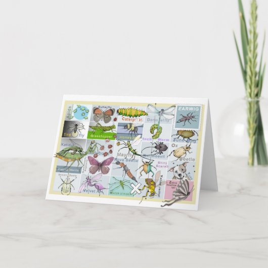 Insect Alphabet Karte (Vorderseite)