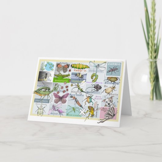 Insect Alphabet Karte (Vorderseite)