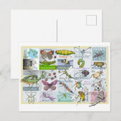 Insect Alphabet Postkarte (Vorne/Hinten)