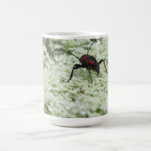 Insekt auf Elderflower Kaffeetasse (Mittel)