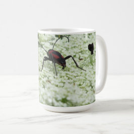 Insekt auf Elderflower Kaffeetasse