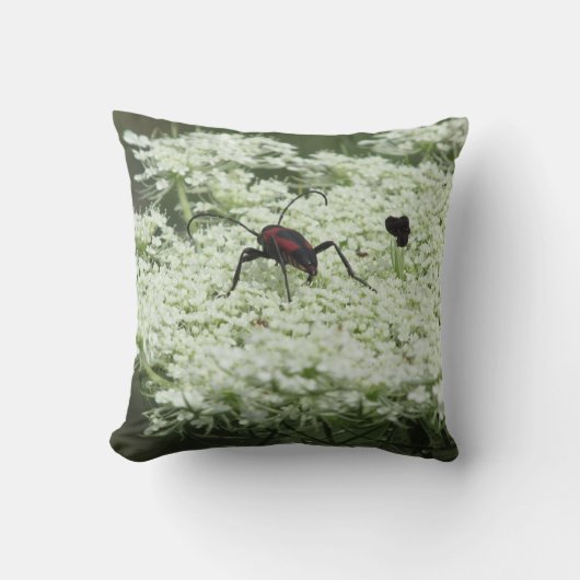 Insekt auf Elderflower Kissen (Vorderseite)