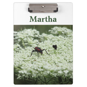 Insekt auf Elderflower Klemmbrett